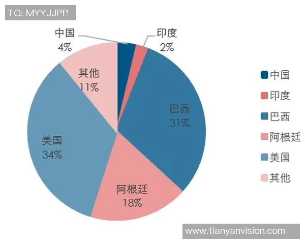 北京排球队实力分析与未来发展趋势的深度探讨