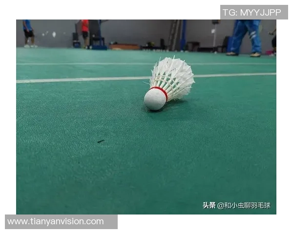 羽毛球新手必看：从零基础到比赛高手的全面攻略与实用技巧分享